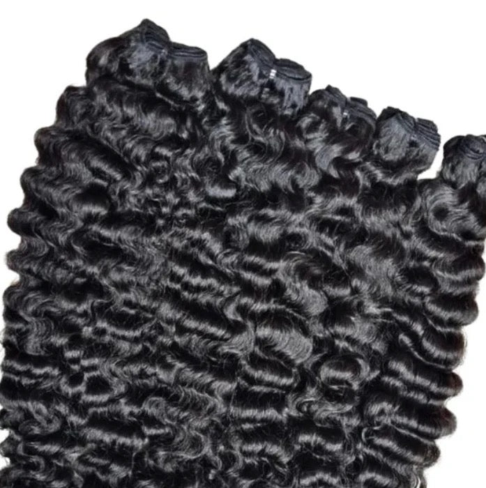 Virgin Burmese Curly